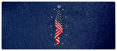 DNSEMP-L-421-SH-BL Flag at Rest Shimmer Blue